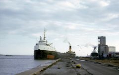 Thumbnail Image for Heron Bay