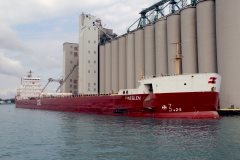 Thumbnail Image for Pineglen