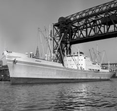 Thumbnail Image for Vares oncontextmenu=