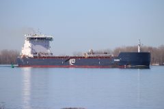 Thumbnail Image for G3 Marquis