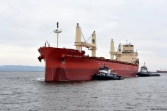 Thumbnail Image for Federal Thunder Bay