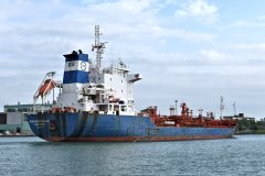 Thumbnail Image for Mississippi Star