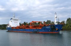 Thumbnail Image for Mississippi Star