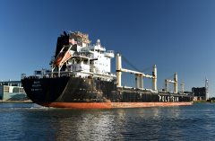 Thumbnail Image for Wicko