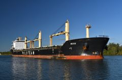 Thumbnail Image for Wicko