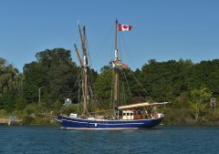 Thumbnail Image for Playfair