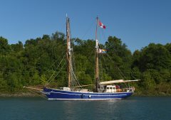 Thumbnail Image for Playfair