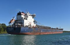 Thumbnail Image for Algoma Niagara