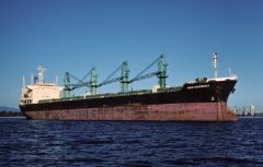 Thumbnail Image for New Sovereign