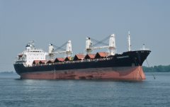 Thumbnail Image for Ypermachos