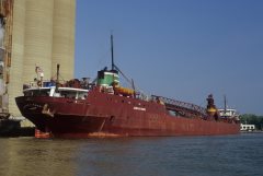 Thumbnail Image for Joseph H. Frantz