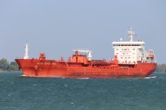 Thumbnail Image for Harbour Progress