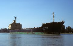 Thumbnail Image for Okoltchitza