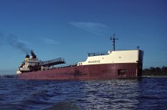 Thumbnail Image for Wolverine