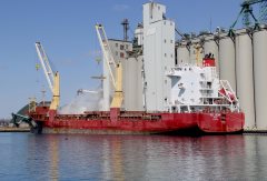 Thumbnail Image for SCL Bern