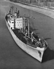 Thumbnail Image for Yildun