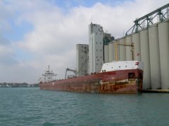 Thumbnail Image for Cedarglen