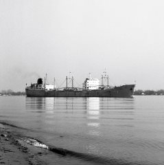 Thumbnail Image for Utvik