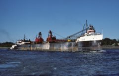 Thumbnail Image for Buckeye