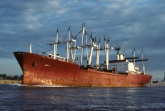 Thumbnail Image for Cleo D.