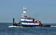 Thumbnail Image for Tracy Lynn