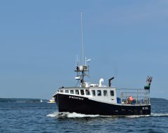 Thumbnail Image for Patience