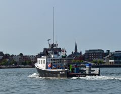 Thumbnail Image for Patience