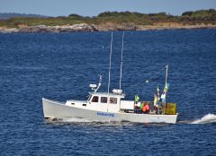 Thumbnail Image for Ocean Storm