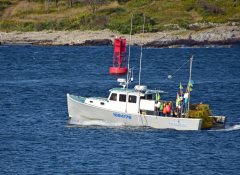 Thumbnail Image for Ocean Storm