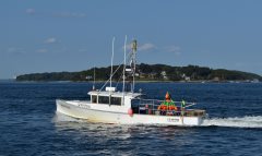 Thumbnail Image for Devocean