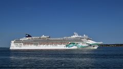 Thumbnail Image for Norwegian Jade
