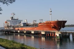 Thumbnail Image for Easterly As Omaria