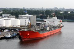 Thumbnail Image for Bow Plata