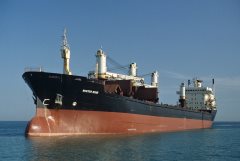 Thumbnail Image for Winter Star