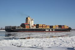 Thumbnail Image for MSC Angela