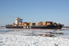 Thumbnail Image for MSC Angela