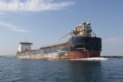 Thumbnail Image for Algoma Innovator