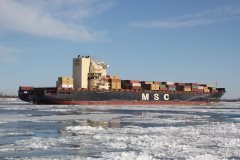 Thumbnail Image for MSC Anya