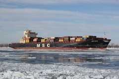 Thumbnail Image for MSC Anya