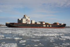 Thumbnail Image for MSC Bhavya