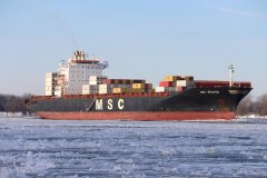 Thumbnail Image for MSC Bhavya