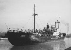 Thumbnail Image for Virgilia