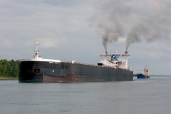 Thumbnail Image for Walter J. McCarthy Jr.