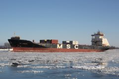 Thumbnail Image for MSC Canberra
