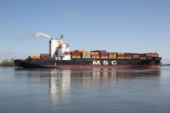 Thumbnail Image for MSC Japan