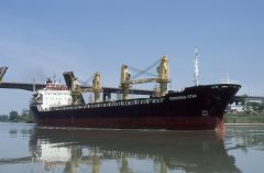 Thumbnail Image for Consensus Star oncontextmenu=