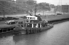 Thumbnail Image for Sachem