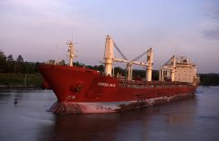 Thumbnail Image for Federal Maas