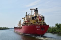 Thumbnail Image for Federal Churchill