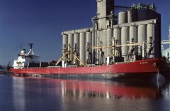 Thumbnail Image for Valor